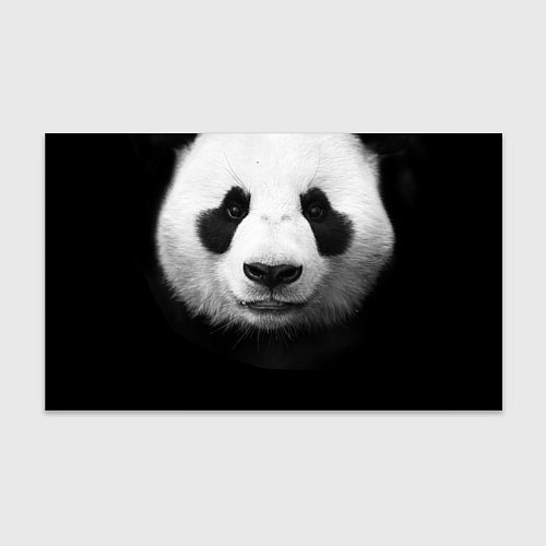 Бумага для упаковки Взгляд панды / 3D-принт – фото 1