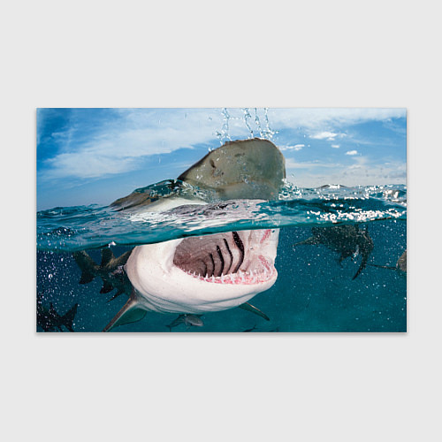 Бумага для упаковки Хищная акула / 3D-принт – фото 1