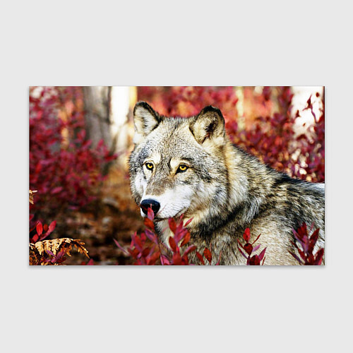 Бумага для упаковки Волк в кустах / 3D-принт – фото 1