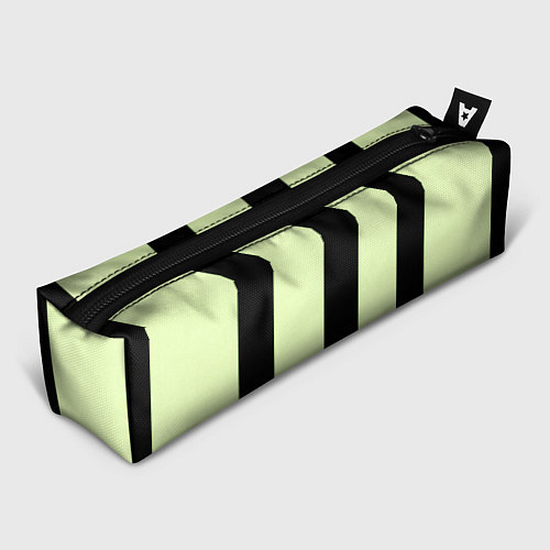 Пенал Color light green black line / 3D-принт – фото 1