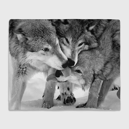 Плед Волчья семья / 3D-Велсофт – фото 1