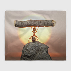 Плед Муравей-силач