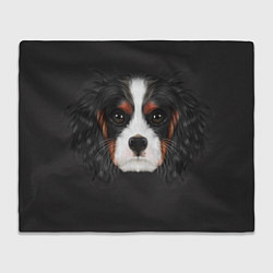 Плед флисовый Cavalier King Charles, цвет: 3D-велсофт