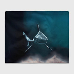 Плед флисовый Акула, цвет: 3D-велсофт
