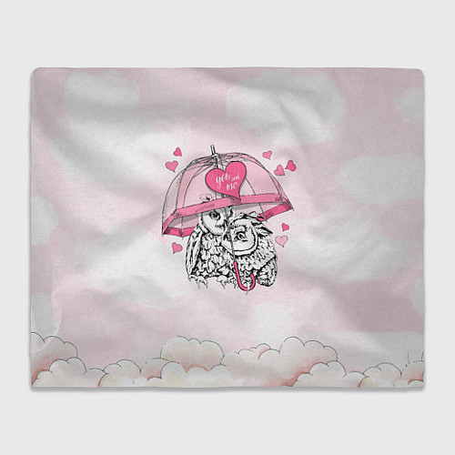 Плед Влюбленные совушки / 3D-Велсофт – фото 1