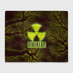 Плед Сталкер