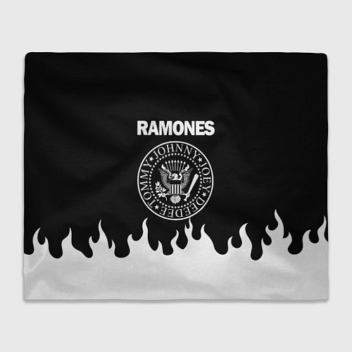 Плед RAMONES / 3D-Велсофт – фото 1