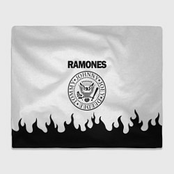 Плед флисовый RAMONES, цвет: 3D-велсофт