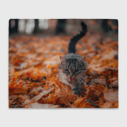 Плед Мяукающий кот осенние листья