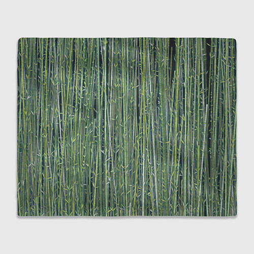 Плед Зеленый бамбук / 3D-Велсофт – фото 1