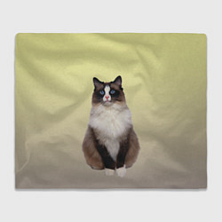 Плед флисовый Персидская пушистая кошка, цвет: 3D-велсофт