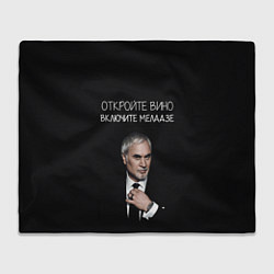 Плед флисовый Откройте вино включите Меладзе, цвет: 3D-велсофт