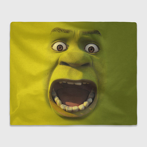 Плед Shrek is Yelling / 3D-Велсофт – фото 1