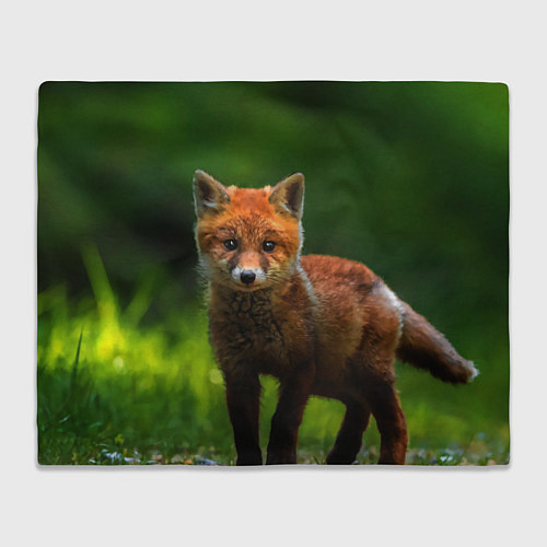 Плед Маленький лисенок / 3D-Велсофт – фото 1