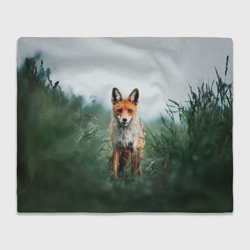 Плед Лисица в зелени / 3D-Велсофт – фото 1