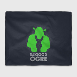 Плед флисовый Shrek: Im good ogre, цвет: 3D-велсофт