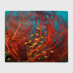 Плед флисовый Коралловые рыбки, цвет: 3D-велсофт