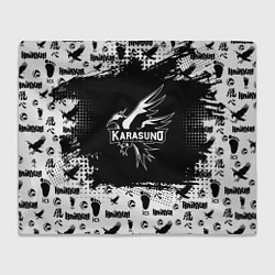 Плед флисовый Старшая школа Карасуно, цвет: 3D-велсофт