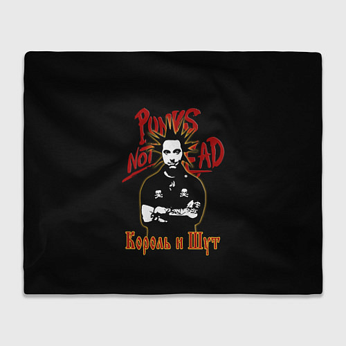 Плед Punks Not Dead КиШ / 3D-Велсофт – фото 1