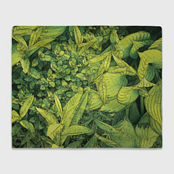 Плед флисовый Растительная жизнь - Хоста, цвет: 3D-велсофт