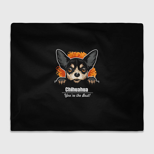 Плед Чихуахуа Chihuahua / 3D-Велсофт – фото 1