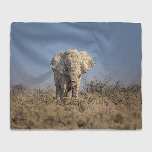 Плед Африканский белый слон / 3D-Велсофт – фото 1