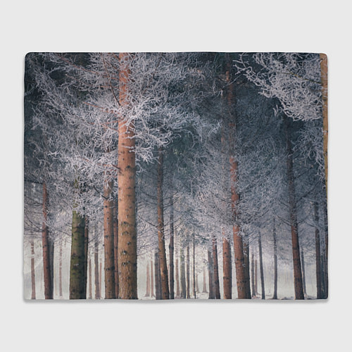 Плед Зимний еловый лес / 3D-Велсофт – фото 1