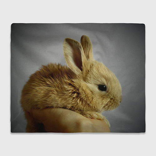 Плед Маленький кролик / 3D-Велсофт – фото 1
