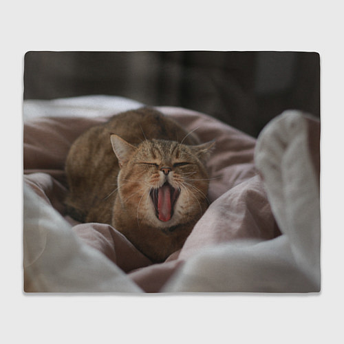 Плед Зевающий кот на кровати / 3D-Велсофт – фото 1