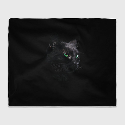 Плед Черна кошка с изумрудными глазами / 3D-Велсофт – фото 1
