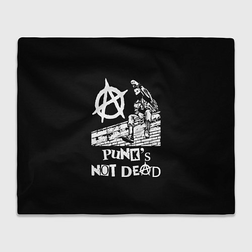 Плед Анархист Панк / 3D-Велсофт – фото 1