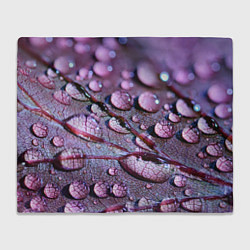 Плед флисовый Капели на листочке, цвет: 3D-велсофт