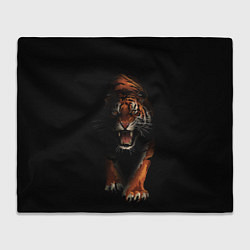 Плед флисовый Тигр на черном фоне, цвет: 3D-велсофт
