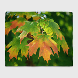 Плед флисовый Кленовый-лист, цвет: 3D-велсофт