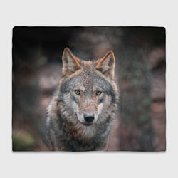 Плед флисовый Волк с грустными глазами, цвет: 3D-велсофт
