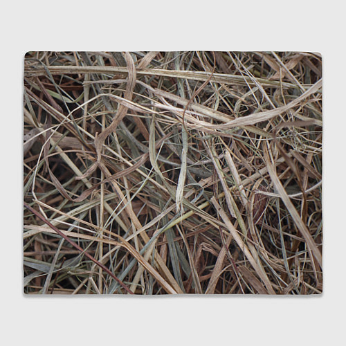 Плед Обычная высохшая трава - авангард / 3D-Велсофт – фото 1