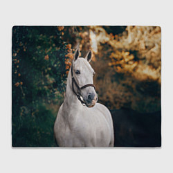 Плед флисовый Белая лошадка, цвет: 3D-велсофт