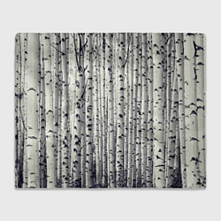 Плед флисовый Русские берёзки - роща, цвет: 3D-велсофт