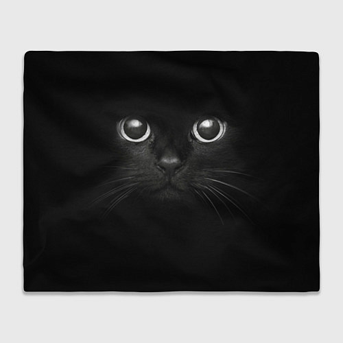Плед Взгляд чёрного кота / 3D-Велсофт – фото 1