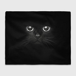 Плед флисовый Взгляд чёрного кота, цвет: 3D-велсофт