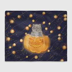 Плед флисовый Котик в тыкве, хеллоуин, цвет: 3D-велсофт