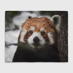 Плед флисовый Малая панда, цвет: 3D-велсофт