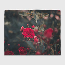 Плед флисовый Красная дикая роза, цвет: 3D-велсофт