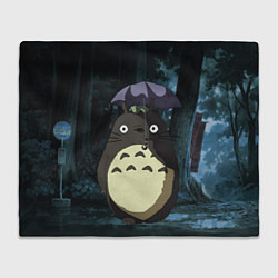 Плед Totoro in rain forest