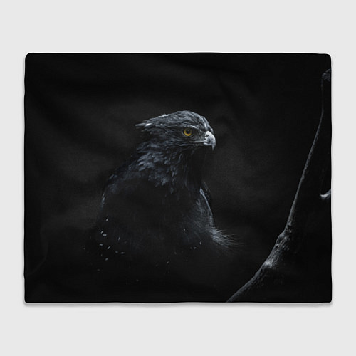 Плед Тёмный орёл / 3D-Велсофт – фото 1
