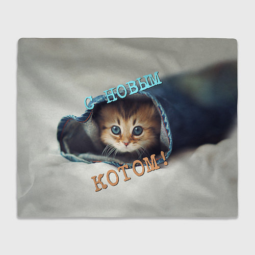 Плед С новым котом / 3D-Велсофт – фото 1