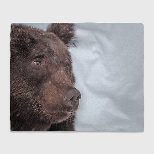 Плед Медведь в интерьере / 3D-Велсофт – фото 1