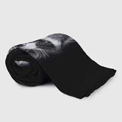 Плед флисовый Енот на черном фоне, цвет: 3D-велсофт — фото 2