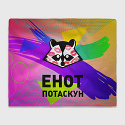 Плед Енот потаскун на разноцветном фоне