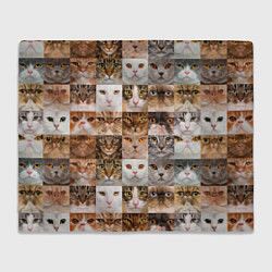 Плед флисовый Pedigreed cats, цвет: 3D-велсофт
